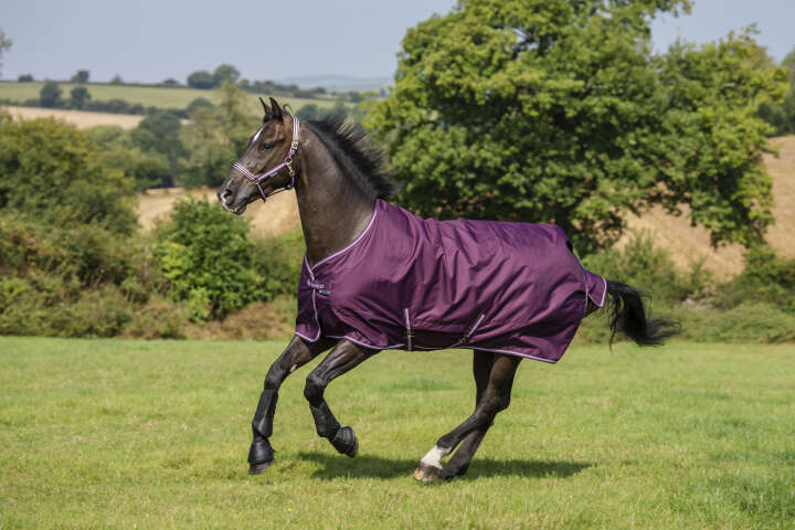 bucas Outdoordecke Freedom Turnout 150 g Blackberry